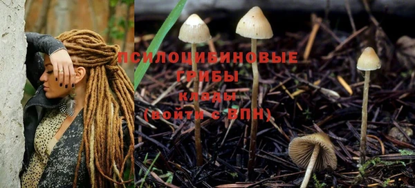 тгк Лагань