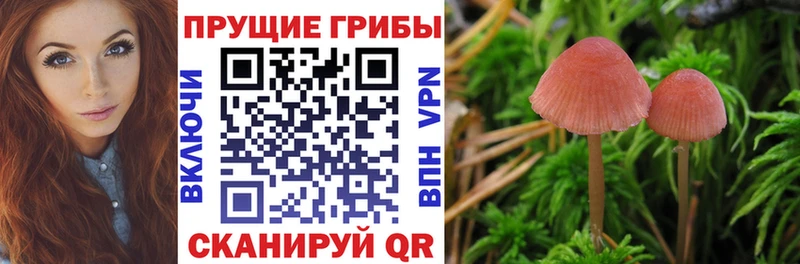 Галлюциногенные грибы Magic Shrooms  Чистополь 